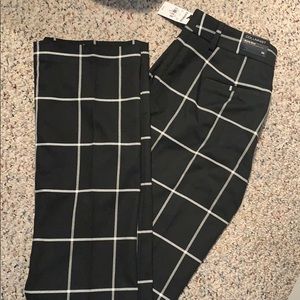 Express dress pants